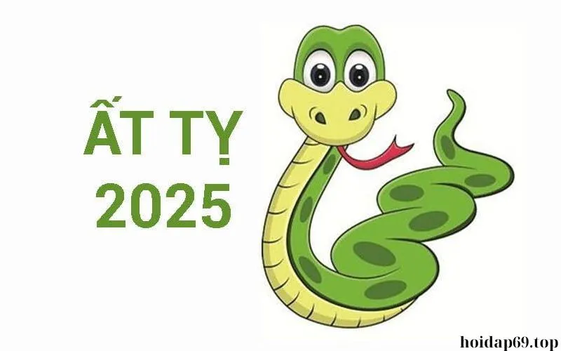 Giờ nào hợp với tuổi Tỵ 2025? không nên làm gì năm này