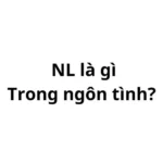 NL trong ngôn tình là gì? viết tắt của từ gì?