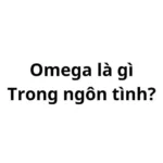 Omega là gì trong ngôn tình?