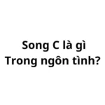 Song c trong ngôn tình là gì? viết tắt của từ gì?