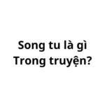 Song tu trong truyện là gì?