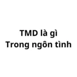 TMD trong ngôn tình là gì? viết tắt của từ gì?