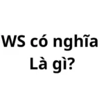 WS có nghĩa là gì? viết tắt của từ gì?