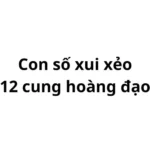 Con số xui xẻo của 12 cung hoàng đạo nên tránh 2024