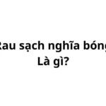 Rau sạch nghĩa bóng là gì? ám chỉ điều gì?