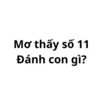 Mơ thấy số 11 đánh con gì? có điềm gì không?