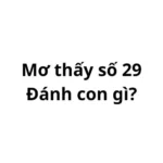 Mơ thấy số 29 đánh con gì? có điềm gì không?